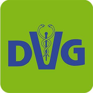DVG Logo