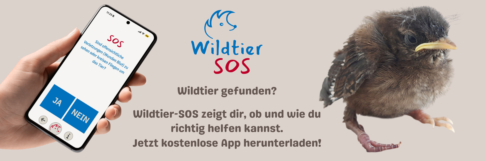 Vorschau Homepage Banner neu