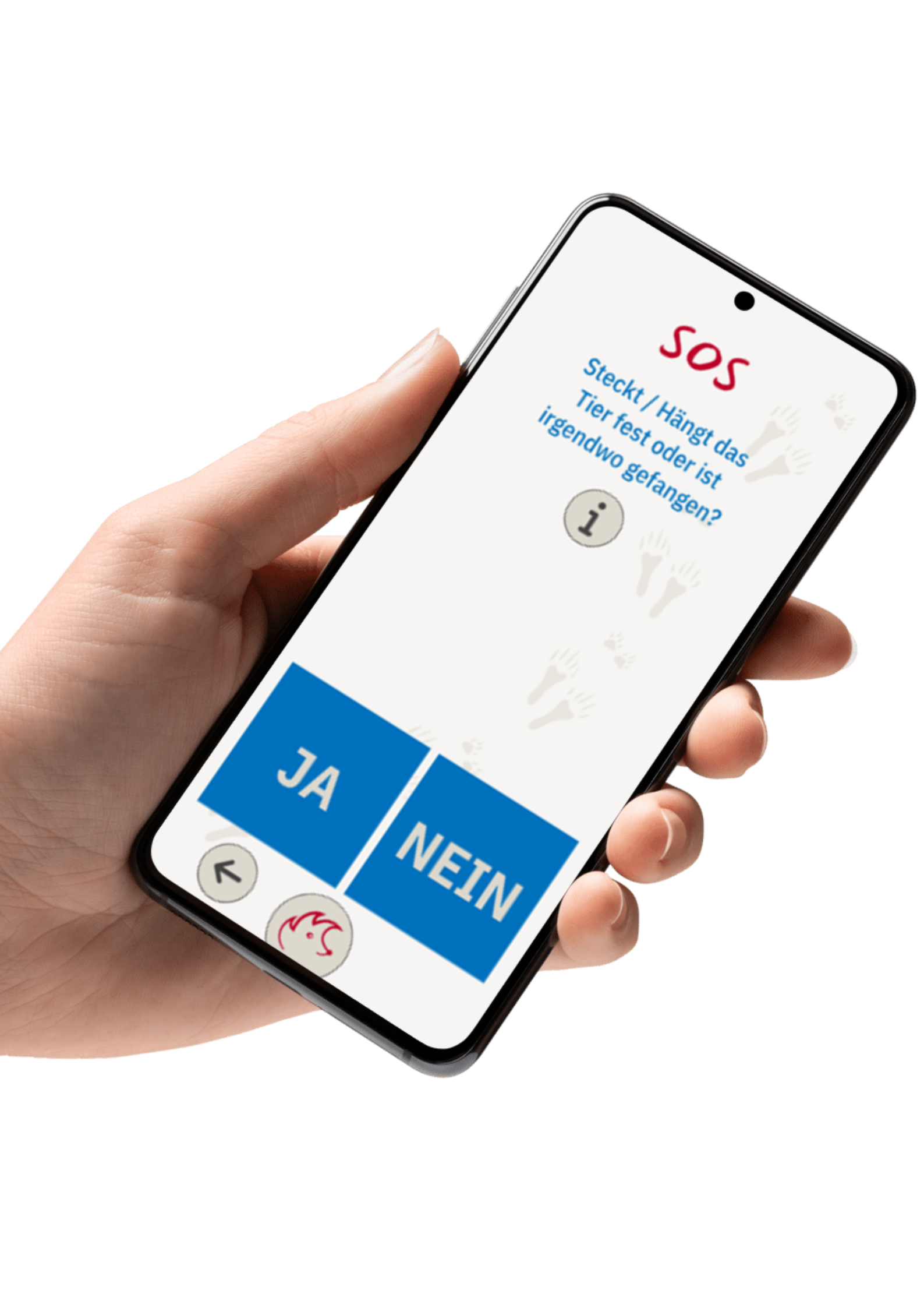 Vorschau Mockup(2)