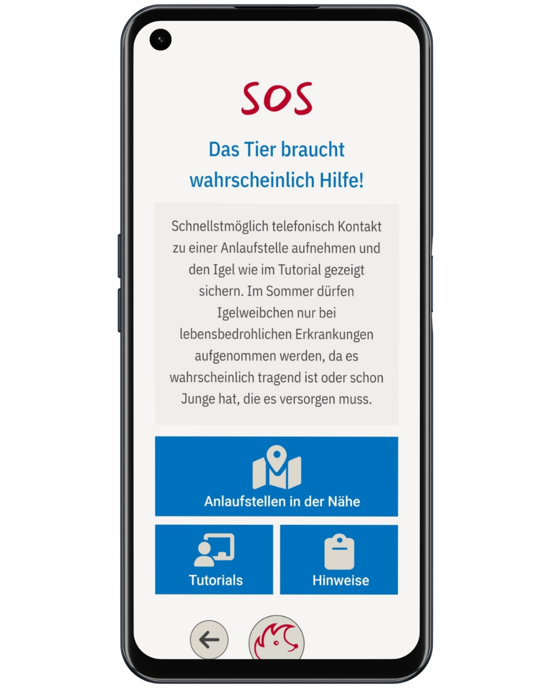 Vorschau Mockup 1