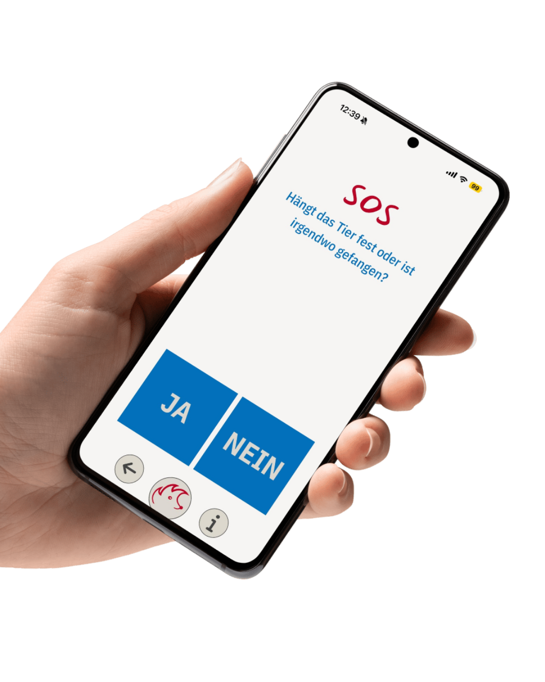 Vorschau Mockup 4