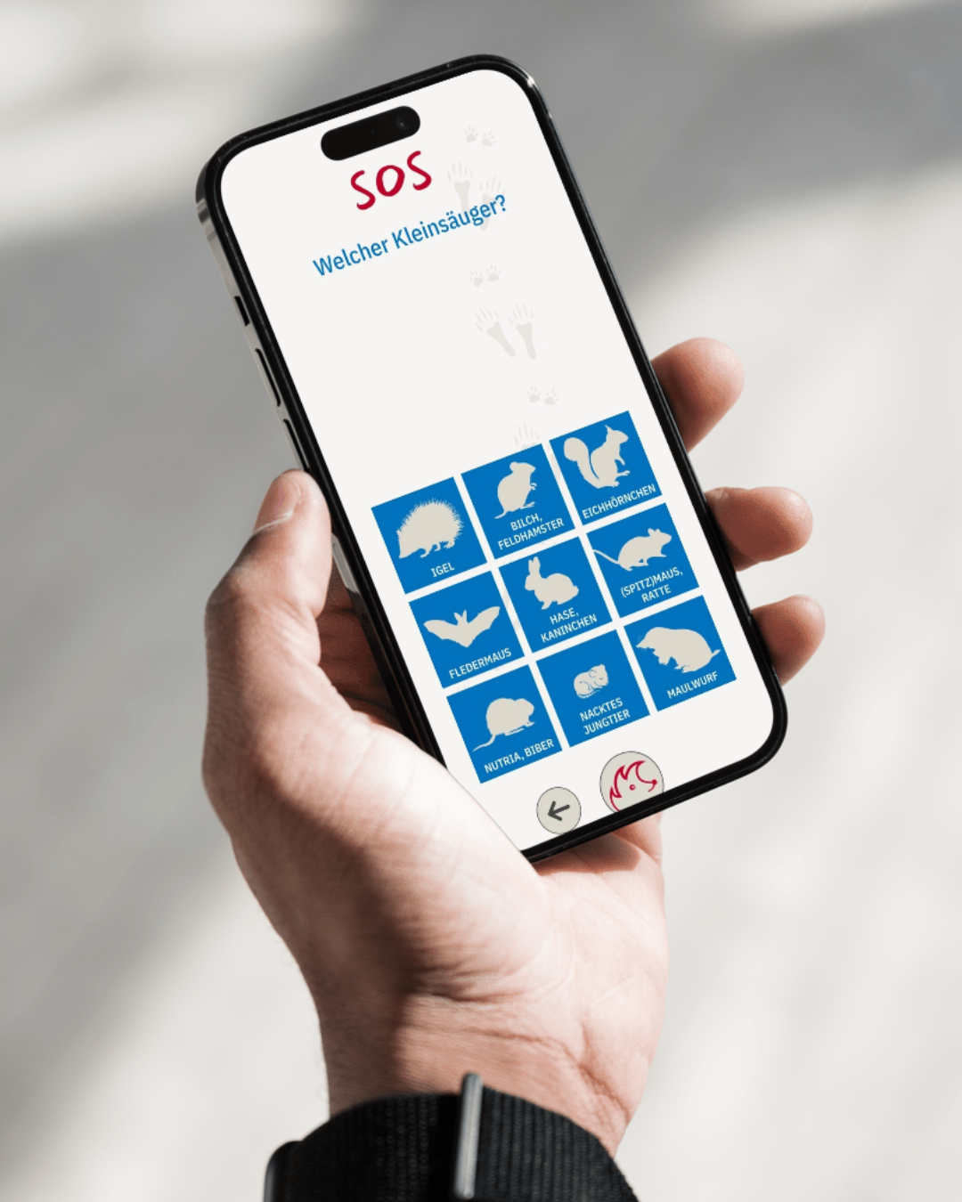 Vorschau Mockup 6