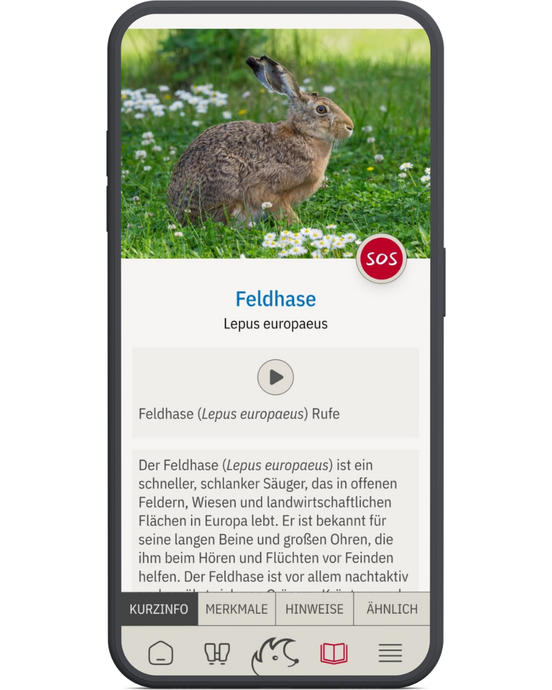Vorschau Mockup 7