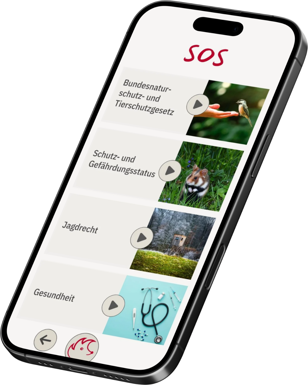 Vorschau Mockup 8