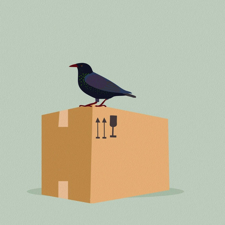 Eine Box passend zur Körpergöße